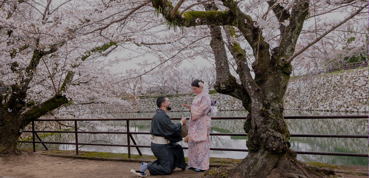 Ocean view from house